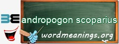 WordMeaning blackboard for andropogon scoparius